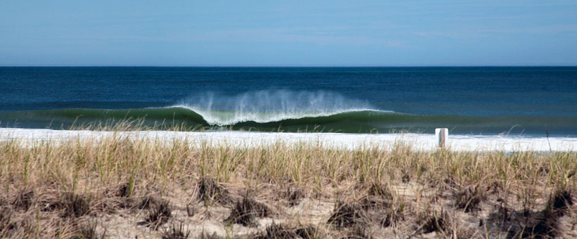 our Guide to Preventing Fly Bites at the Jersey Shore