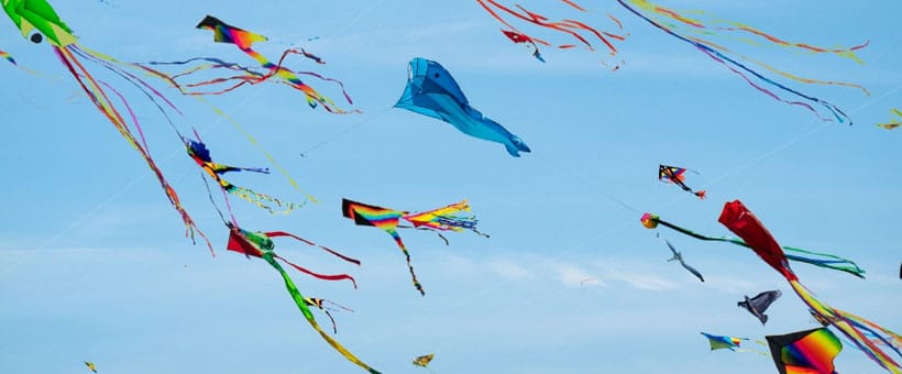 How Wind Keeps Flies at Bay on the Jersey Shore