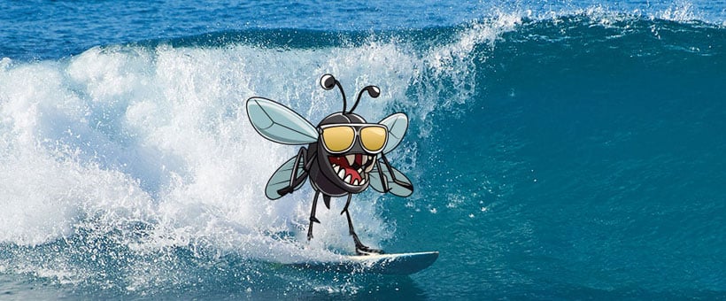 The Best Surf Spots In New Jersey