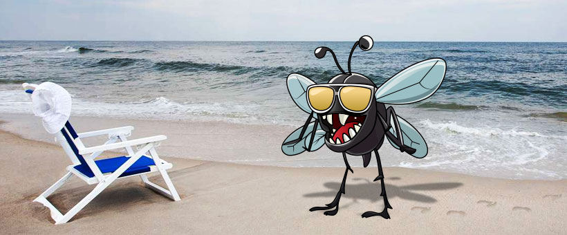 Best New Jersey Beach Towns