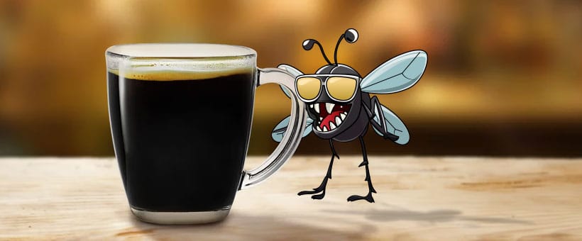 Check The Latest Fly Report