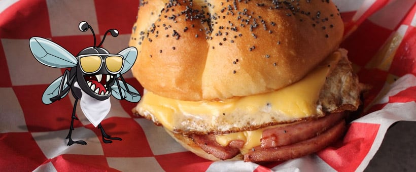 The Final Word On Pork Roll Vs Taylor Ham