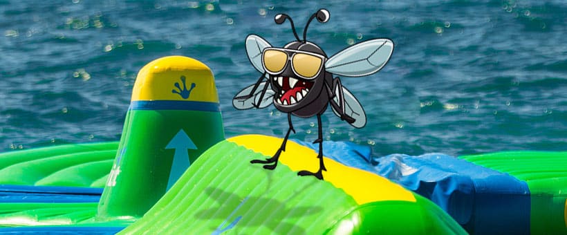 The Best Inflatable Water Parks Along The Jersey Shore